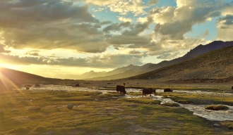 Markha valley Trek in Ladakh