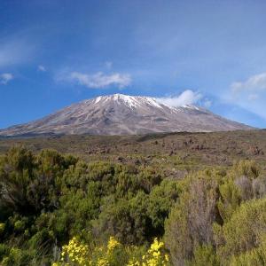 Magnificent views of Kilimanjaro!