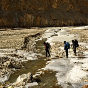 The approach trek involves crossing frozen/ semi-frozen Markha river several times