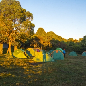 Early campsite in the forest of Kilimanjaro National Park