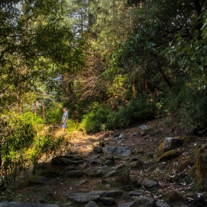 Jungle walk along the river Nyud, towards Kareri Lake 