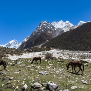 Picturesque setting with a panorama of peaks opening up